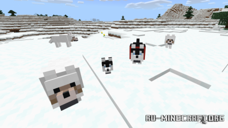  Wolves Plus  Minecraft PE 1.12