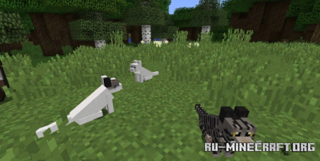  Simply Cats  Minecraft 1.12.2