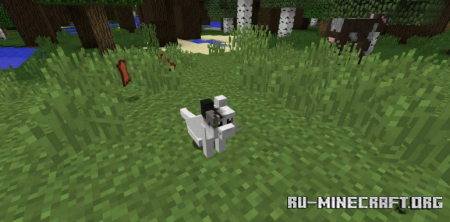  Simply Cats  Minecraft 1.12.2