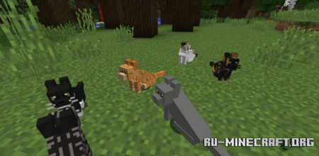  Simply Cats  Minecraft 1.12.2