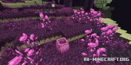 Скачать The Endergetic Expansion для Minecraft 1.14.4