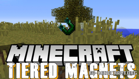  Tiered Magnets  Minecraft 1.14.4
