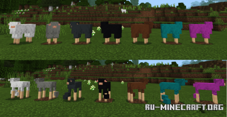  Cuter Vanilla Sheep  Minecraft PE 1.13