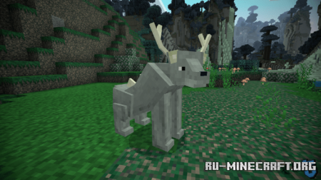  Hidwoods  Minecraft PE 1.14