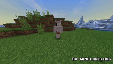  The Constant  Minecraft PE 1.13