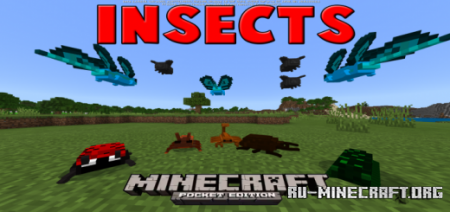  Insects  Minecraft PE 1.14