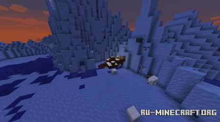  The Ocean Adventure  Minecraft