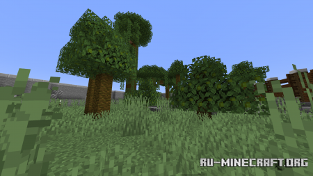 ������� Passing the Stage ��� Minecraft