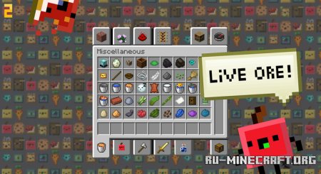  Living Items  Minecraft 1.16