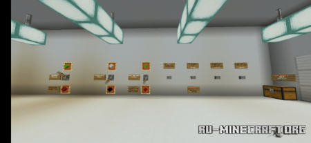  Lab Experiment  Minecraft PE