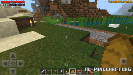 Скачать Variety Hunger and Health для Minecraft PE 1.14