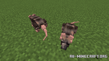 Скачать Animalium для Minecraft 1.15.2