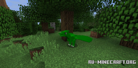  Dragon Vale  Minecraft 1.14.4