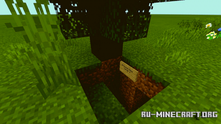  Find The Button: Ground Hole  Minecraft PE