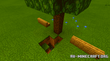  Find The Button: Ground Hole  Minecraft PE