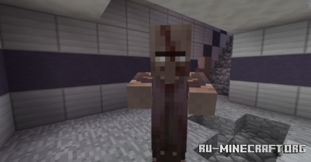  Tissous Zombie  Minecraft 1.15