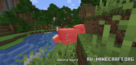  First-person Model  Minecraft 1.16.1