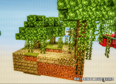  BiomeBlock: Skyblock Survival  Minecraft PE