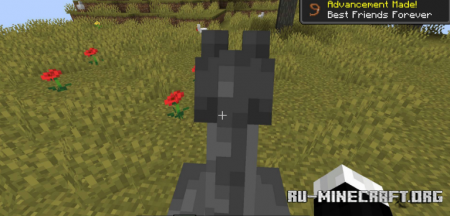  Stupid Horse Stand Still  Minecraft 1.16.2