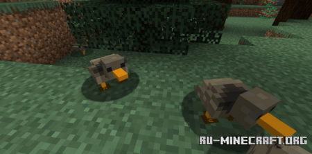Скачать Duck для Minecraft 1.15.2