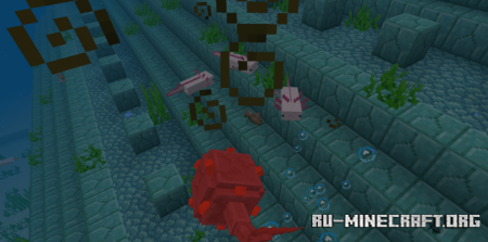  Axolotls  Minecraft PE 1.16