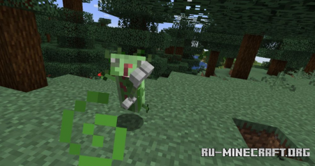  Axolotls  Minecraft 1.15.2