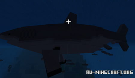  Shark Biology: The Classics  Minecraft PE 1.16