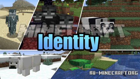  Identity  Minecraft 1.16.4