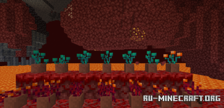      Minecraft 1.16