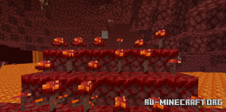      Minecraft 1.16