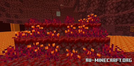      Minecraft 1.16