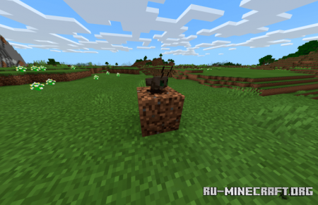  yFarm Craft  Minecraft PE 1.16