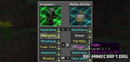  Everlasting Abilities  Minecraft 1.16.4