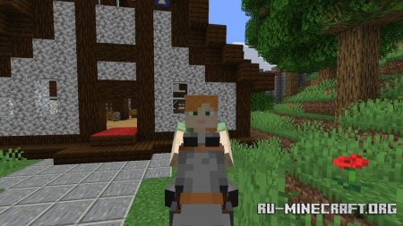 Скачать Not Enough Animations для Minecraft 1.16.4