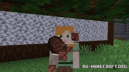 Скачать Not Enough Animations для Minecraft 1.16.4