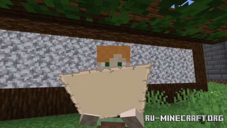 Скачать Not Enough Animations для Minecraft 1.16.4
