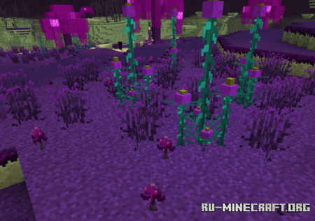 Скачать Enderite для Minecraft PE 1.16