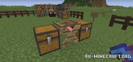 Survivalist  Minecraft 1.16.5