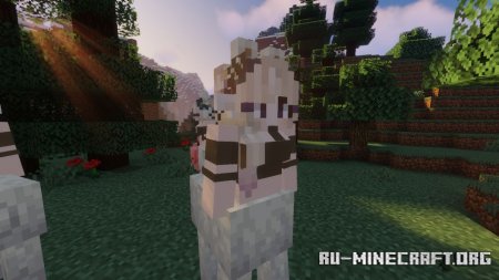  Player Mob Models  Minecraft 1.15