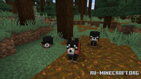  Wolves Plus  Minecraft PE 1.16