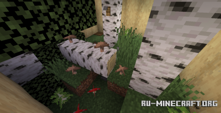 ������� Find the Button: Biomes 2 ��� Minecraft