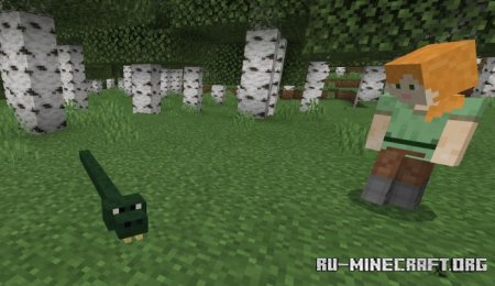 Скачать Animals Beginning With 'S' для Minecraft PE 1.16