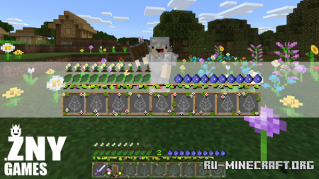  Spring 2021  Minecraft PE 1.16
