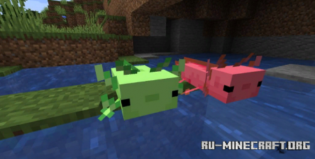 Скачать More Axololts для Minecraft 1.17.1
