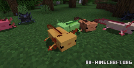 Скачать More Axololts для Minecraft 1.17.1
