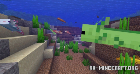 Скачать More Axololts для Minecraft 1.17.1