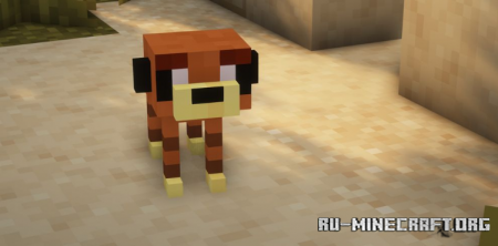  The Lost Biomes  Minecraft 1.16.5