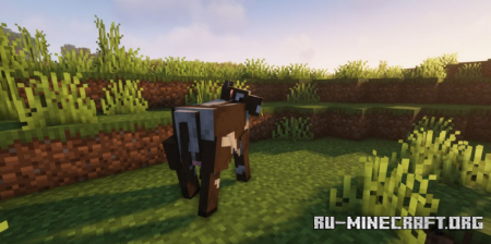 Скачать Shiny’s Entity Models Plus для Minecraft 1.16