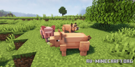 Скачать Shiny’s Entity Models Plus для Minecraft 1.16