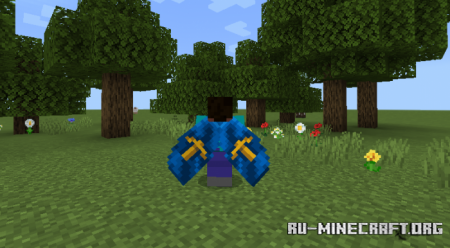  Custom Elytras by MateoZA  Minecraft PE 1.17
